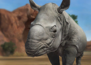 Animalindividualsjavanrhino-femalechild2