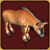 Zoo Tycoon 2: African Adventure, Zoo Tycoon Wiki