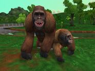 Gigantopithecus - Superjakob