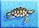 Green-sea-turtle-icon-zt1.png