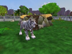 Zoo Tycoon 2 Ultimate Collection Male Animals by ReynaldoOktaviano