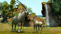 Arabian Oryx (Bonus Download) at Zoo Tycoon 2 Nexus - Mods and community