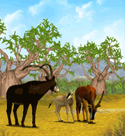 Zoo Tycoon 3: Sable Antelope 