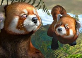 Red Panda | Zoo Tycoon Wiki | Fandom