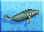 West-indian-manatee-icon-zt1.png