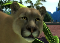 Zoo Tycoon  Asobo Studio