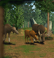 Apr. 2021 - Zoo Tycoon 2 - Moose Exhibit - ZooChat