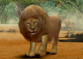 Zoo Tycoon 3: Asiatic Lion 