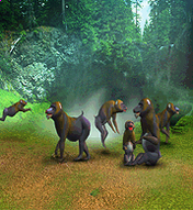 Mandrill.png