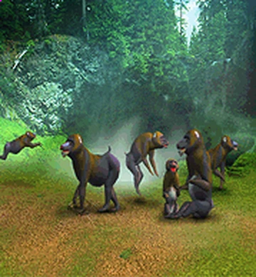 Mandrill | Zoo Tycoon Wiki | Fandom