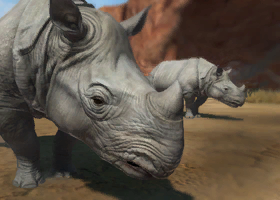 rhinoceros 5.2 mac