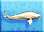 Beluga-icon-zt1.png