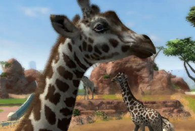 Zoo Tycoon players meet first Community Challenge supporting Sumatran Tiger  Survival Program