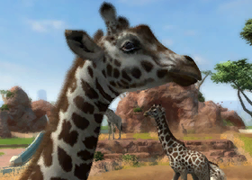 Nubian Giraffe | Zoo Tycoon Wiki | Fandom Nubian Giraffe | Zoo Tycoon Wiki | Fandom