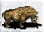 Woolly-rhinoceros-icon-zt1.png