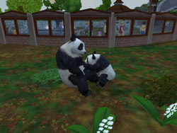 Zoo Tycoon (Game) - Giant Bomb