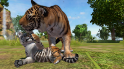 Zoo Tycoon players meet first Community Challenge supporting Sumatran Tiger  Survival Program