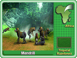 Revitalize Burkitsville Zoo, Zoo Tycoon Wiki