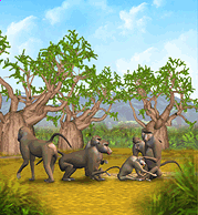 Zoo Tycoon: Complete Collection, ZTWildlife Wiki