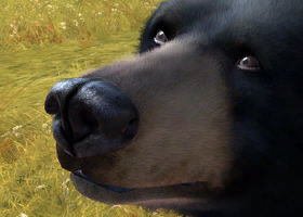 User blog:Superjakob/Animal List from Zoo Tycoon 3