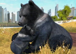 Zoo Tycoon 2 Ultimate Collection Male Animals by ReynaldoOktaviano