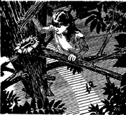 Key in nest.png