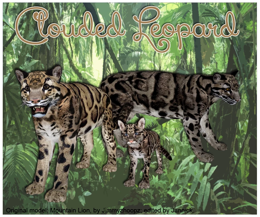 動物圖2 Baird's Tapir (Strigops)/Version 1 | ZT2 Download Library