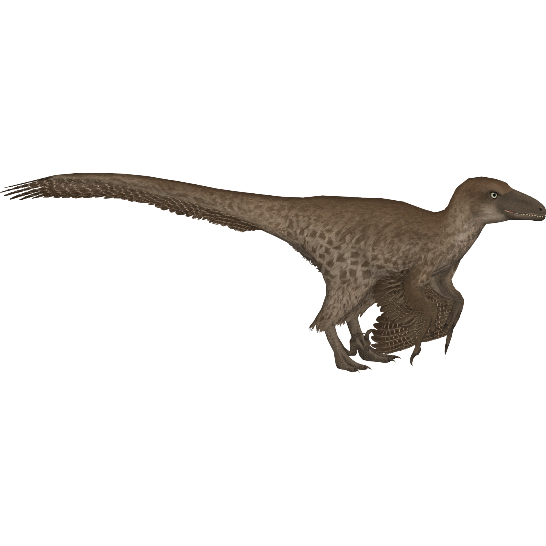 Deinonychus in Characters - UE Marketplace