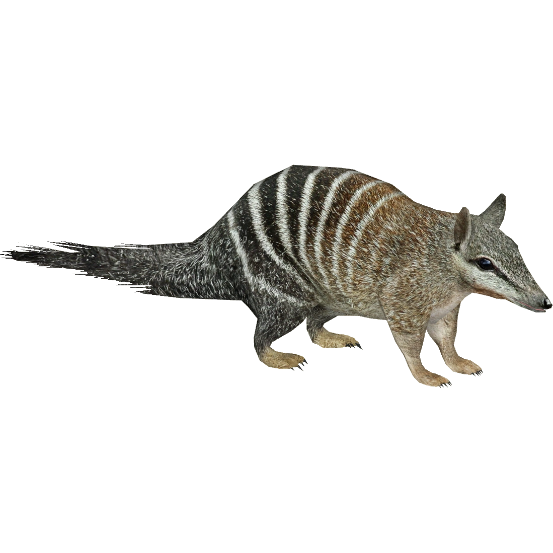 虎ネイバーフッド　NHRJ .SCRATCH / DETROIT TIGERS EMBROIDERED IRON ON PATCH 2 X 2 3/4