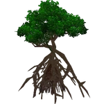 Red Mangrove (Demon Hunter) (536 KB) Red Mangrove (Demon Hunter)