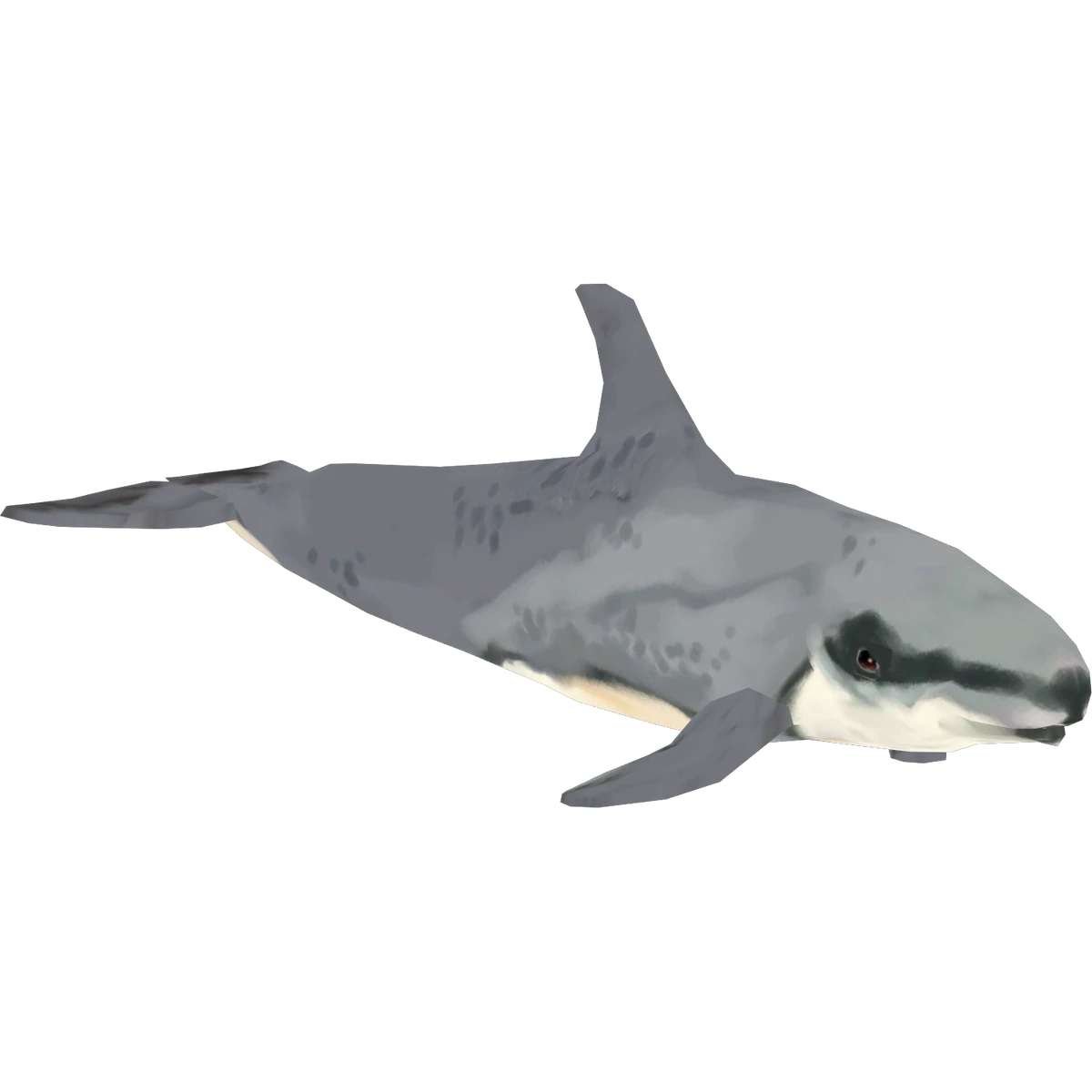 Basilosaurus (Zooa) ZT2 Download Library Wiki Fandom