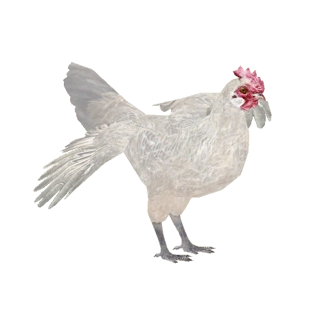 Chicken (ZTABC Team) | ZT2 Download Library Wiki | Fandom