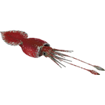 Colossal Squid (Buffzoo)