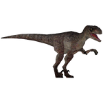 Jurassic Park Deinonychus (Mjmannella)