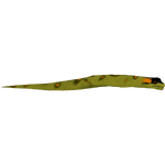Giant Anaconda (Z-Studio)/Version 1
