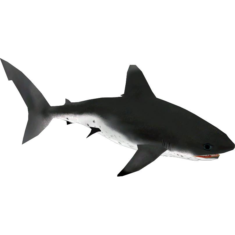 Salmon Shark (Buffzoo & Lgcfm) | ZT2 Download Library Wiki | Fandom