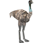 Emu (Colonel Swampert)