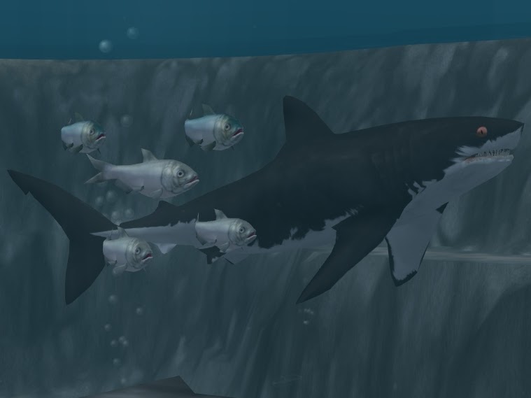 science based - Variations on the Ginsu Shark Theme--What Would