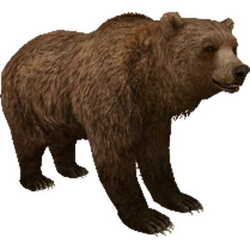 暗黒エンターテイメント　The BEAR 11月2日(木)18時より抽選開始】【暗黒エンターテイメント】The bear