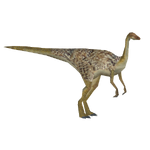 Gallimimus (Philly)