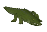 American Alligator (Lupin12)
