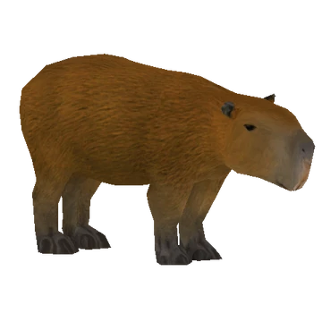 360?cb=20150712171345