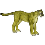 American Cheetah (Major League Designing)