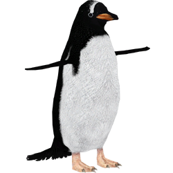 Category:Penguins | ZT2 Download Library Wiki | Fandom