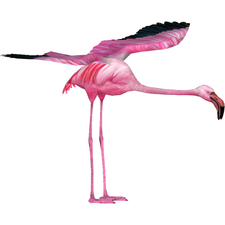 Giant Flamingo (Tamara Henson) | ZT2 Download Library Wiki | Fandom