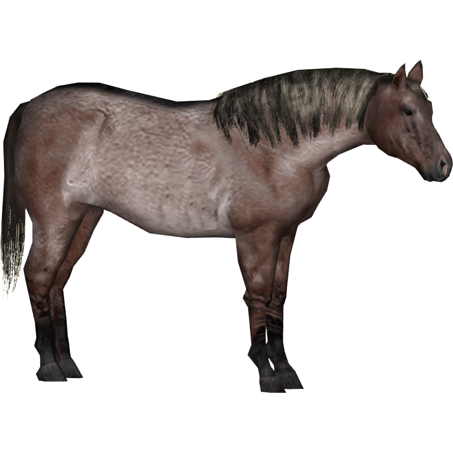 mustang horse zoo tycoon 2 download