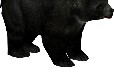 Japanese Black Bear (Santi195) | ZT2 Download Library Wiki
