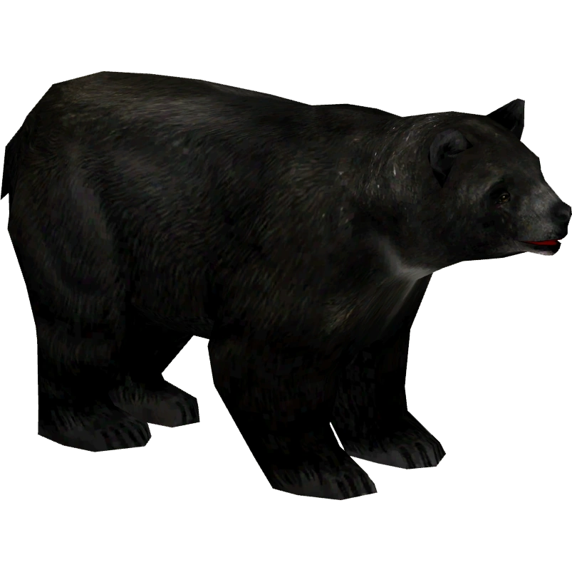 Baluchistan Bear (Artifex) | ZT2 Download Library Wiki | Fandom