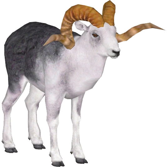 Marco Polo Sheep (Tamara Henson) | ZT2 Download Library Wiki | Fandom