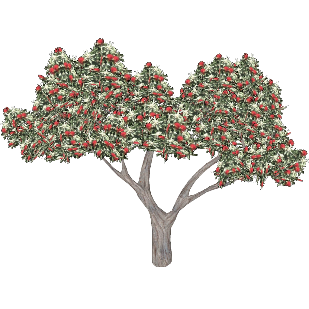 Category:Trees | ZT2 Download Library Wiki | Fandom